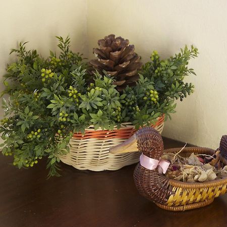 Casa Rural Olga El Paso Kültér fotó